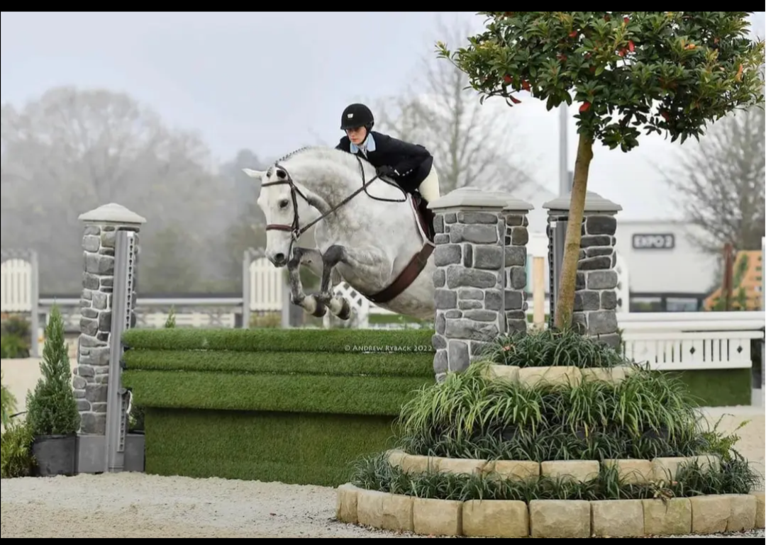 Equestrian facility