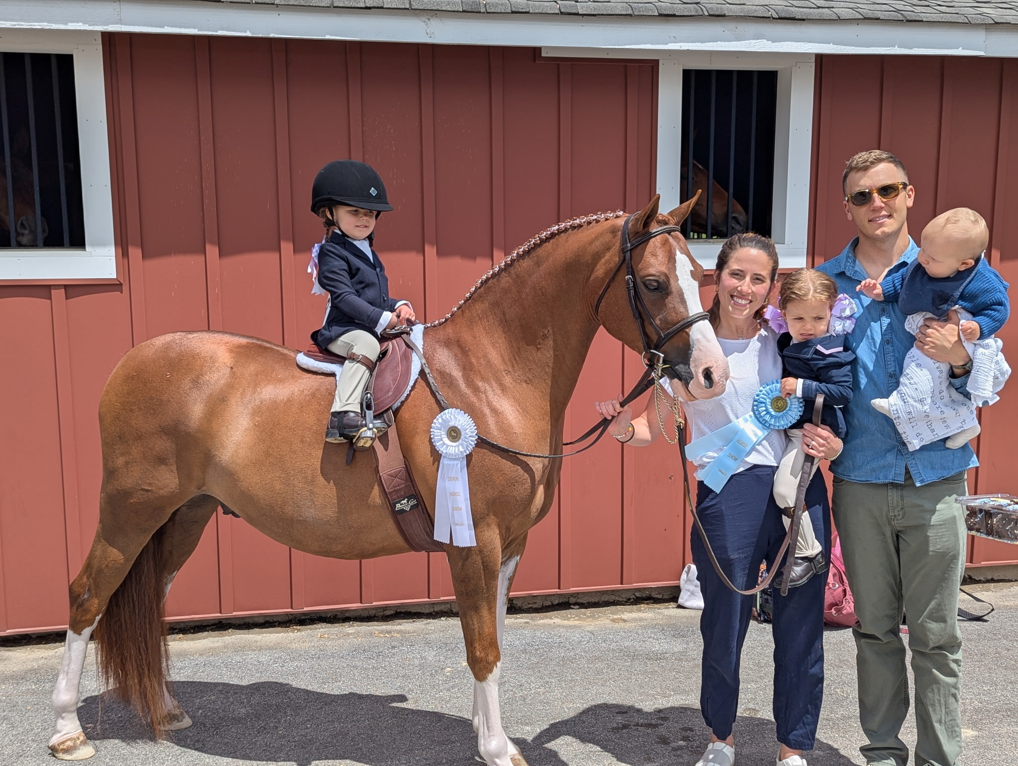 Equestrian training